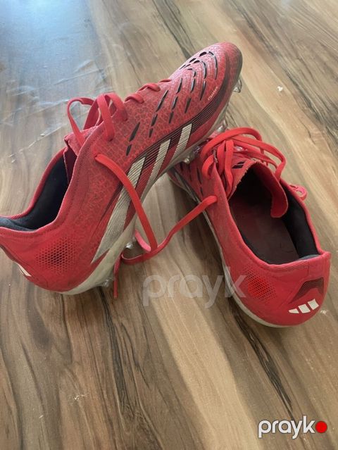 Məhsul: Futbol butsası – Adidas Predator (kramponlu) - Model: Adidas — Bakı