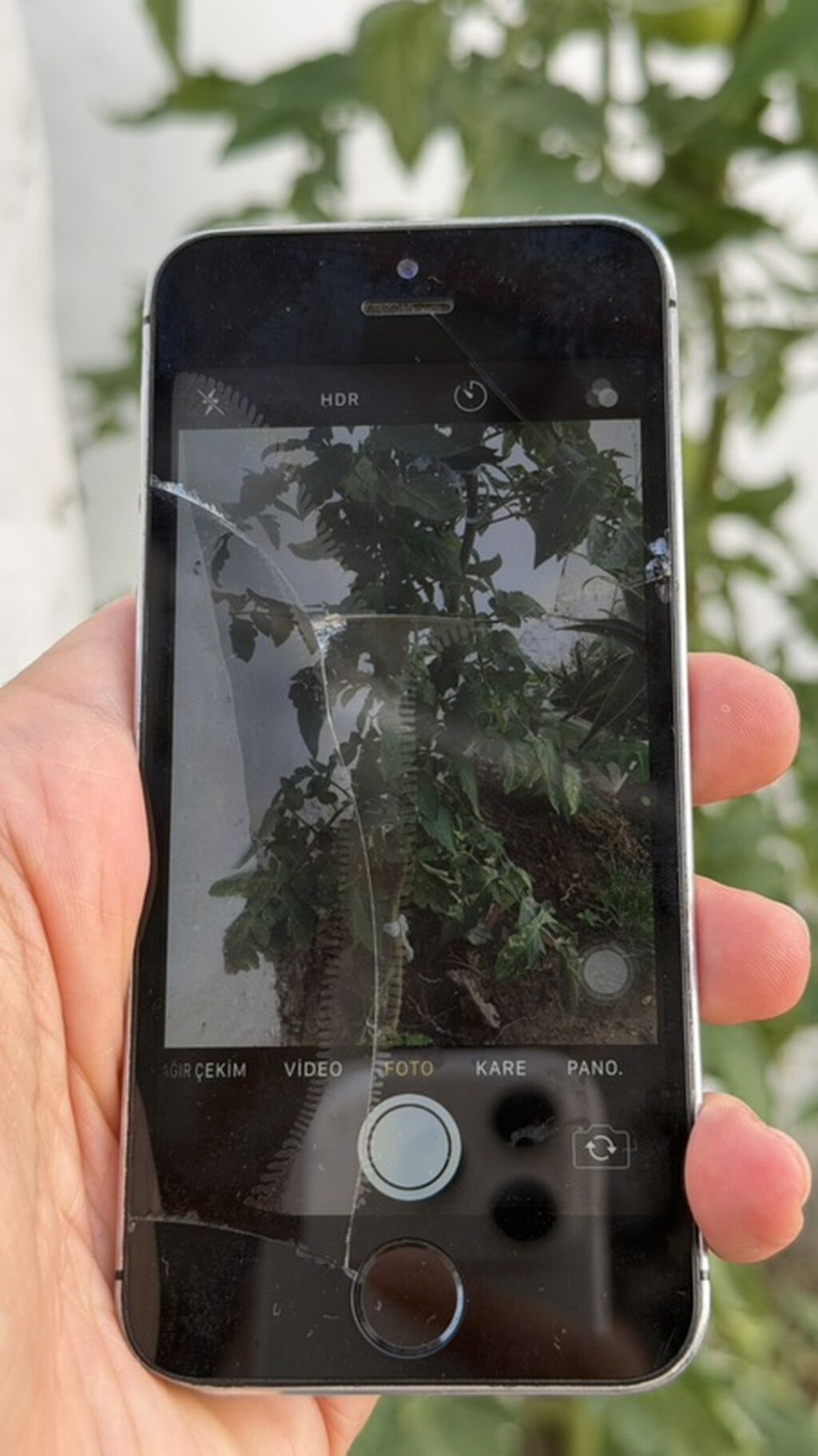 IPhone 5s, Gümüşü — Apple iPhone, Bakı (6)