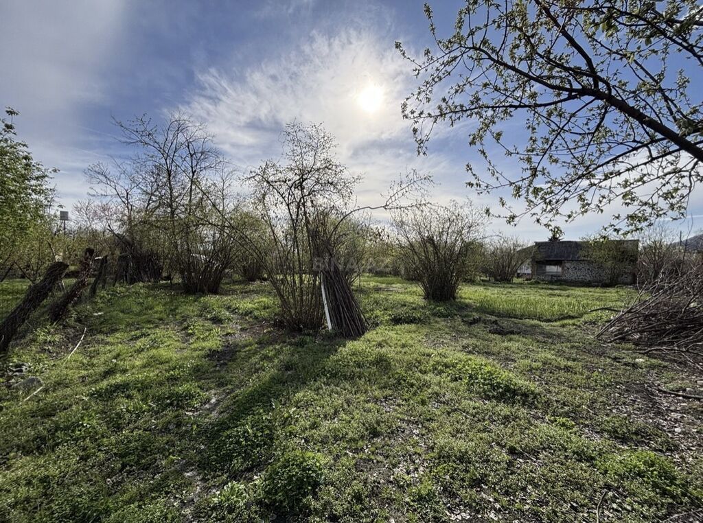 Tikinti, Mülkiyyətçi, Kupça (Çıxarış) — Torpaq, Zaqatala (5)