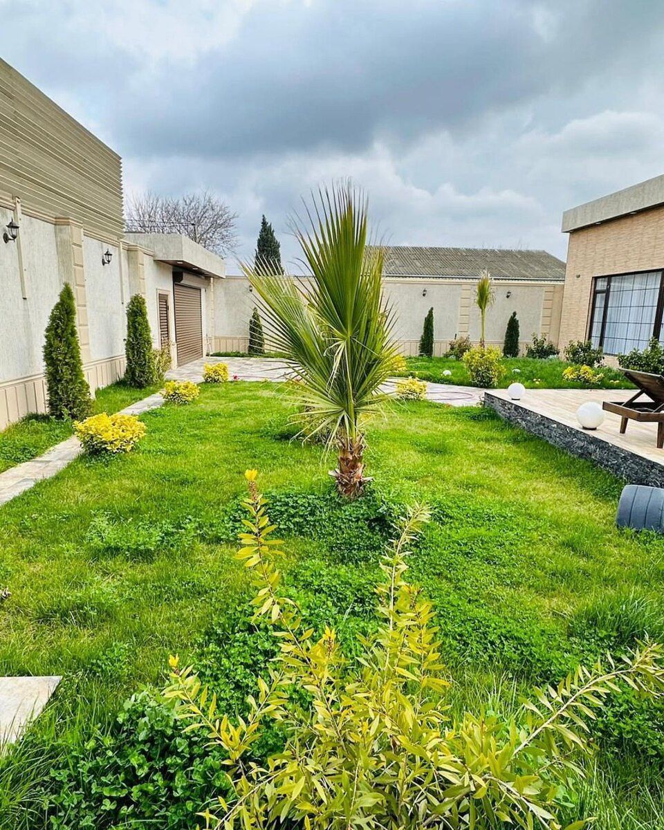 Bağ evi kirayə verilir, Mərdəkan qəs — Ev, villa, Bakı (6)