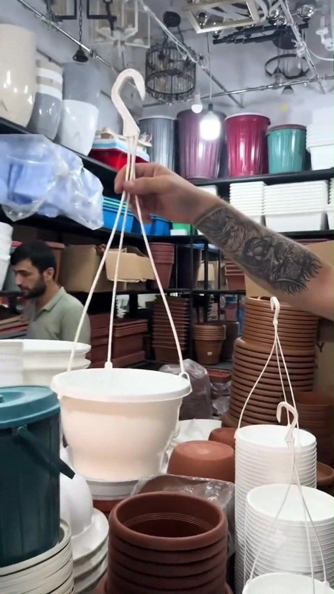 Plastik asılqanlı dibçəklər — Bitkilər, Bakı (7)