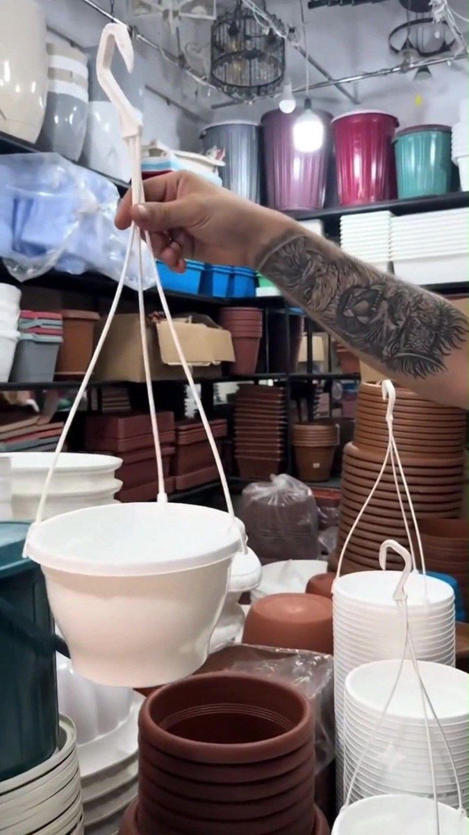 Plastik asılqanlı dibçəklər — Bitkilər, Bakı (8)