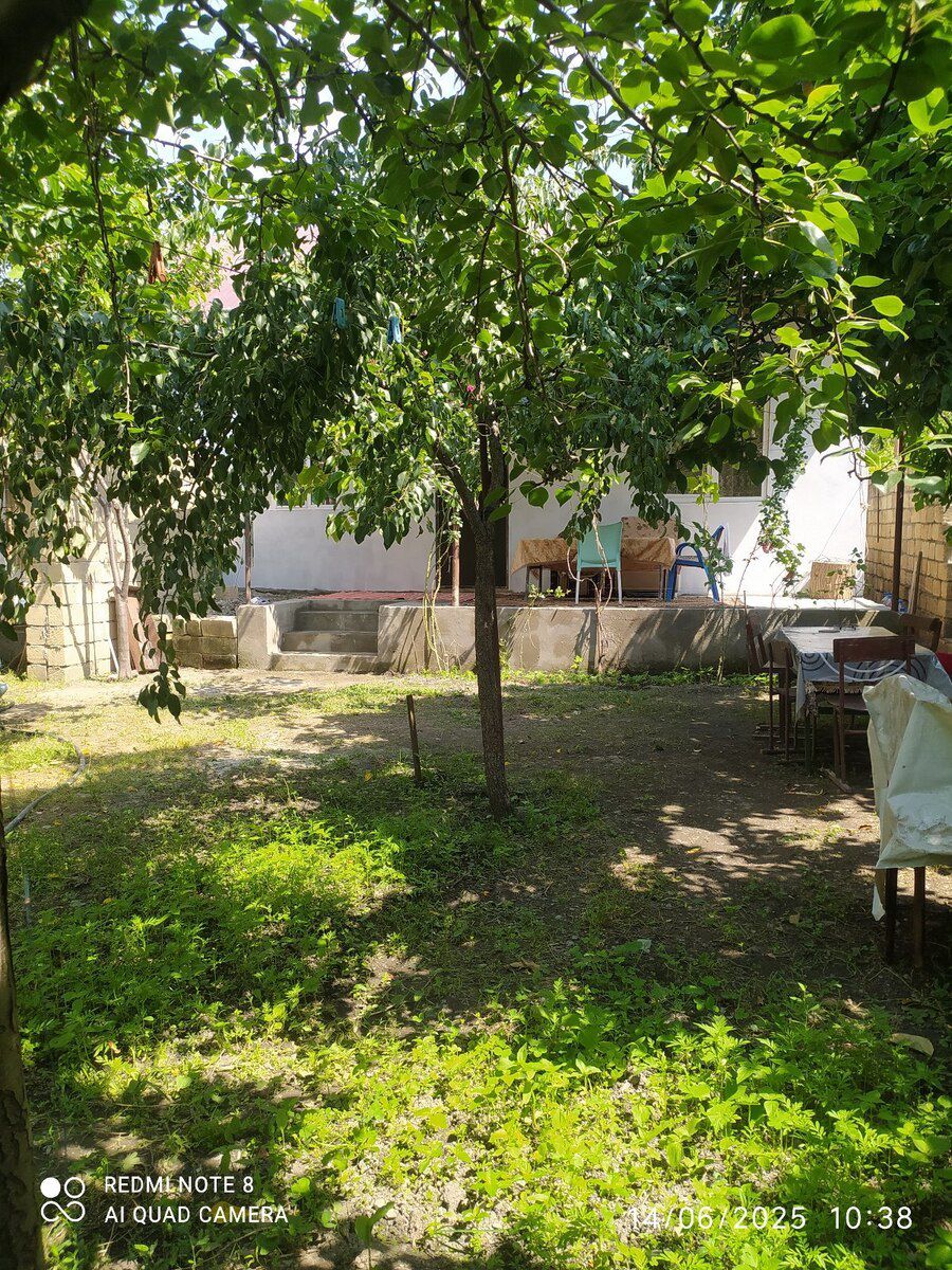 Həyət evi kirayə verilir, Qəbələ ş — Ev, villa, Qəbələ (12)
