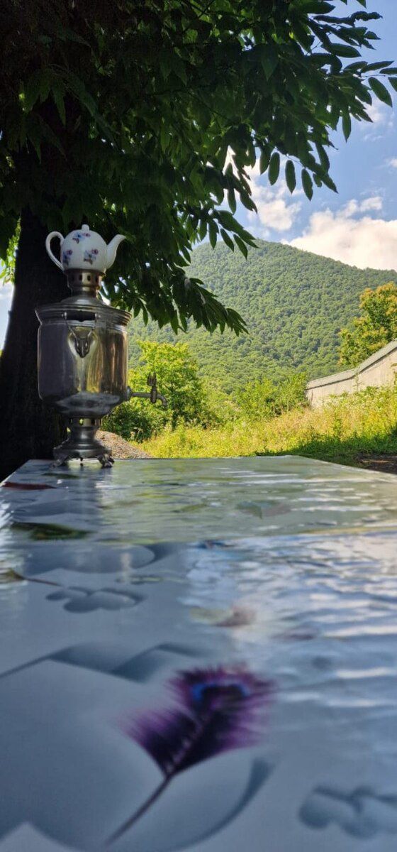 Həyət evi kirayə verilir, Qəbələ r — Ev, villa, Qəbələ (2)