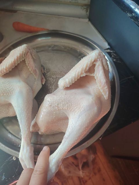 Kənd toyuğu Toyuq Bütöv