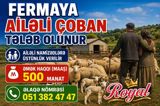 Çoban, 25 yaş, 5 ildən artıq təcrübə — Готовый бизнес