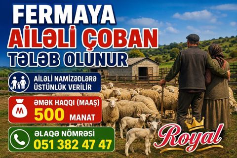 Çoban, 25 yaş, 5 ildən artıq təcrübə — Samux