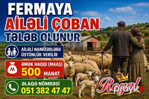 Çoban, 25 yaş, 3-5 illik təcrübə — Samux