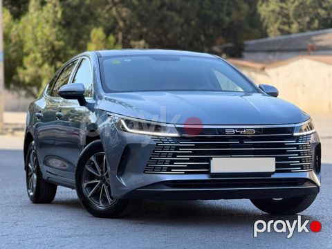 BYD Destroyer 05, 1.5 L, 18.3 kWh, 2025 il, 7 900 km