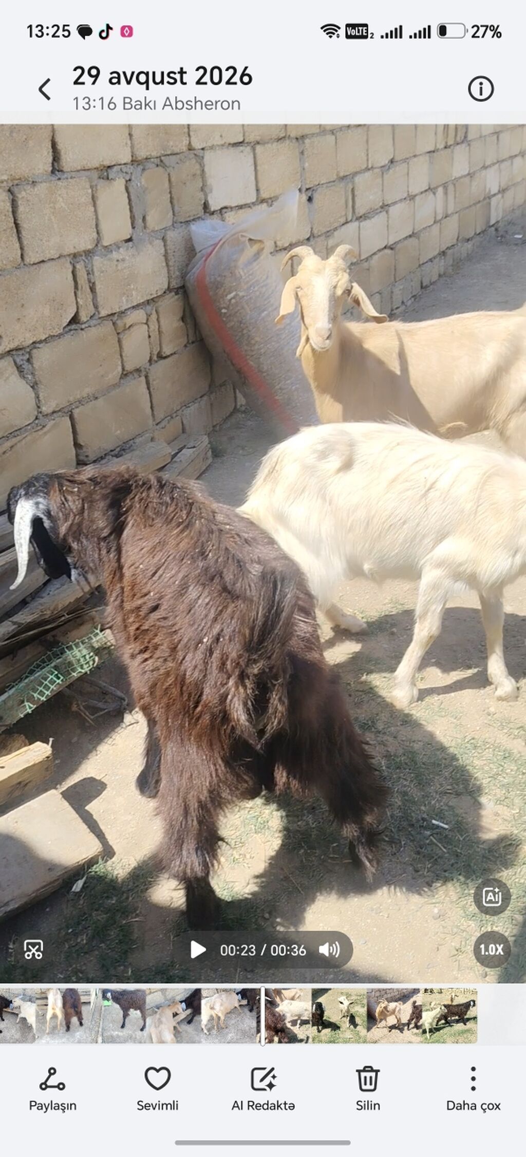 Erkək, il: 1, Damazlıq — Heyvanlar, Xırdalan (2)