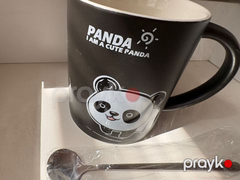 Fincan Panda