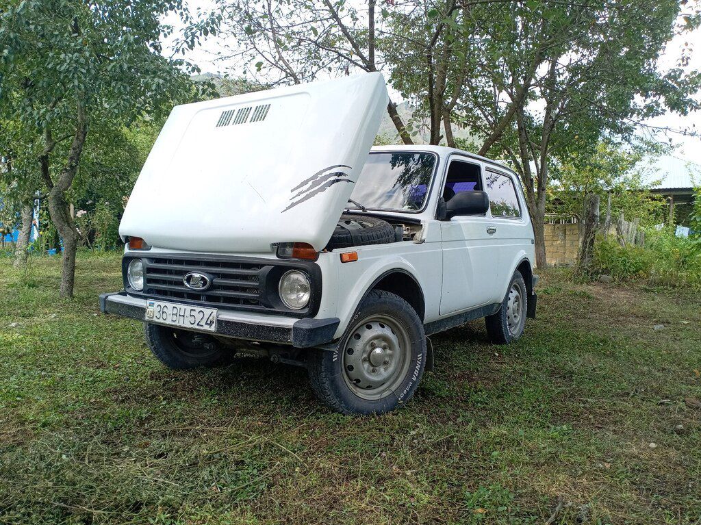 Lada (VAZ) Niva, 1.7 L, 1999 il, 300 000 km — Avtomobillər, Qəbələ (5)
