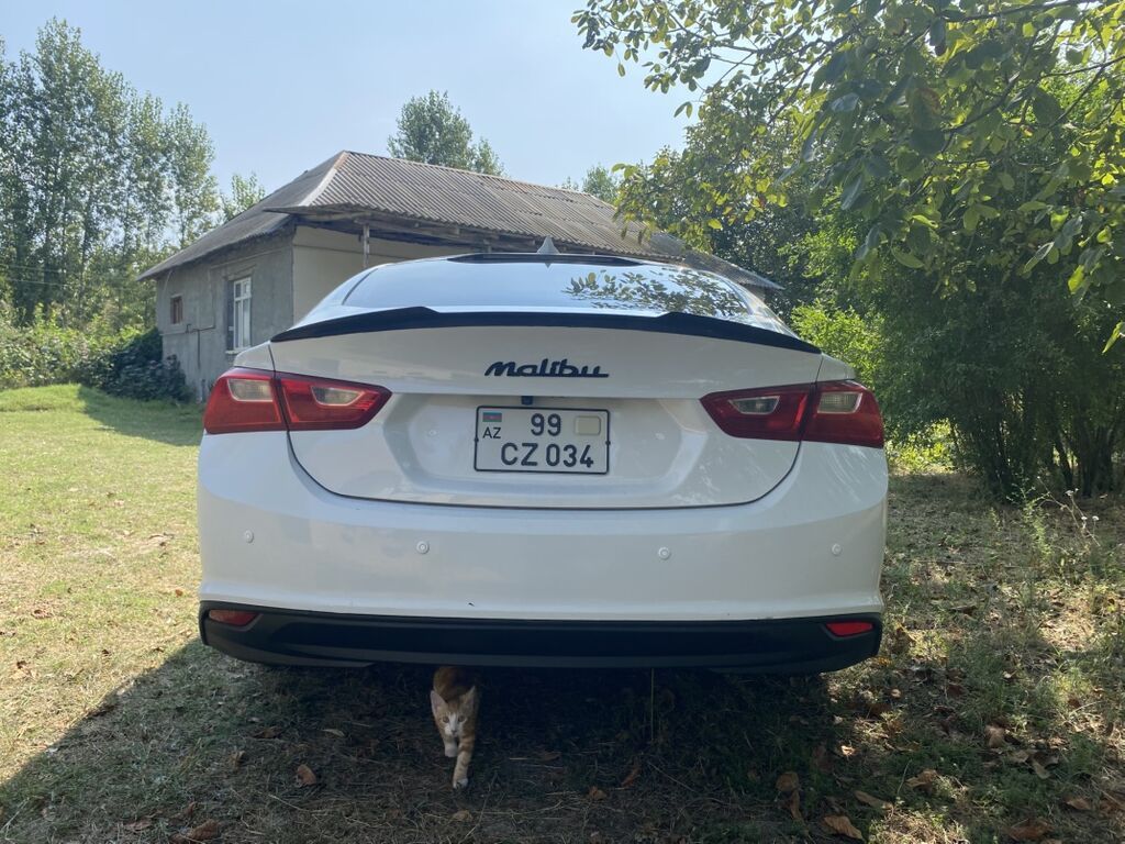Chevrolet Malibu sedan – ağ rəng, zərif və dinamik dizayn — Avto, Bakı (4)