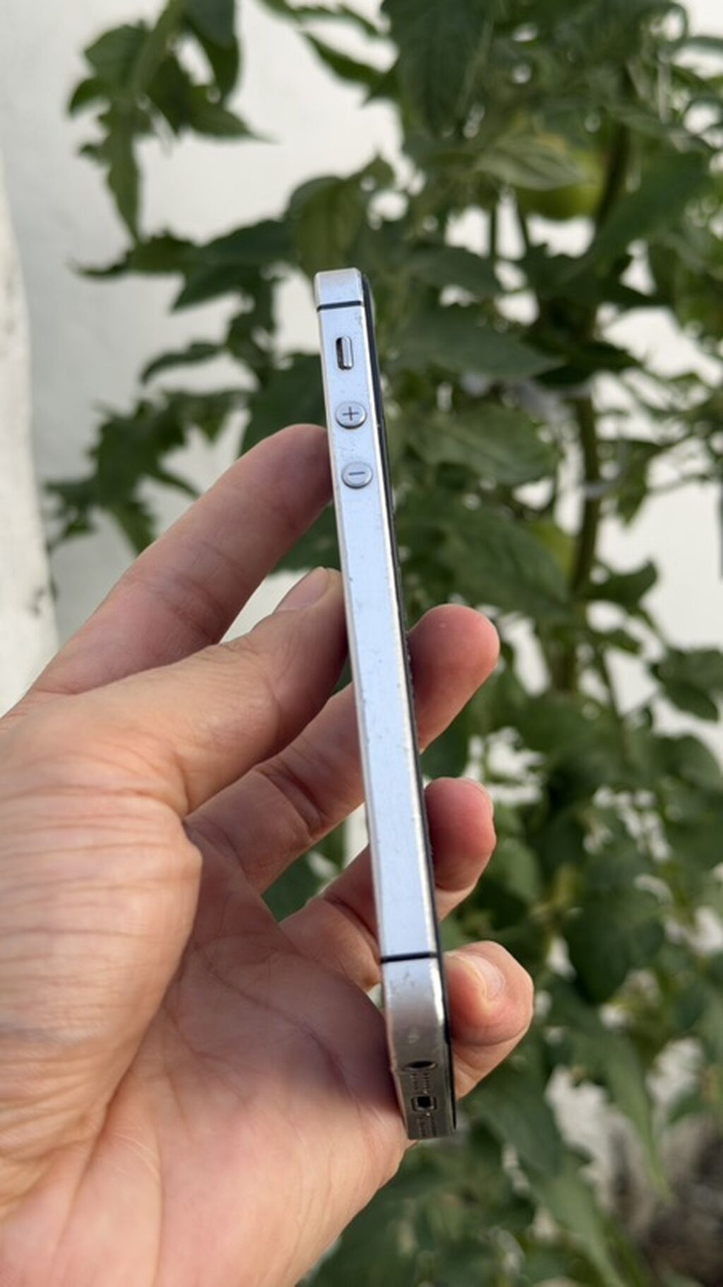 IPhone 5s, Gümüşü — Apple iPhone, Bakı (2)