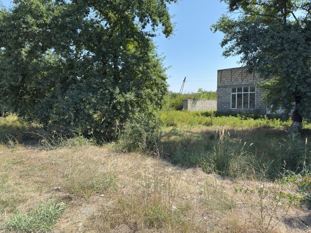 35 sot torpaq sahəsi, Quba ş — Torpaq, Quba (2)