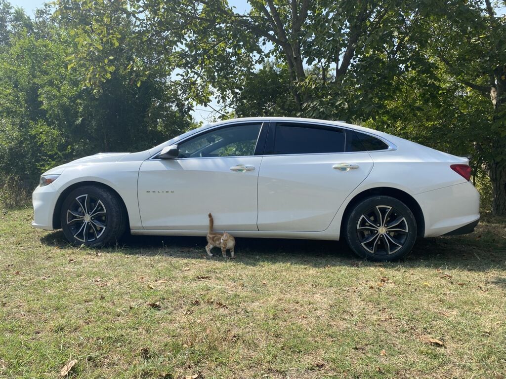 Chevrolet Malibu sedan – ağ rəng, zərif və dinamik dizayn — Avto, Bakı (3)