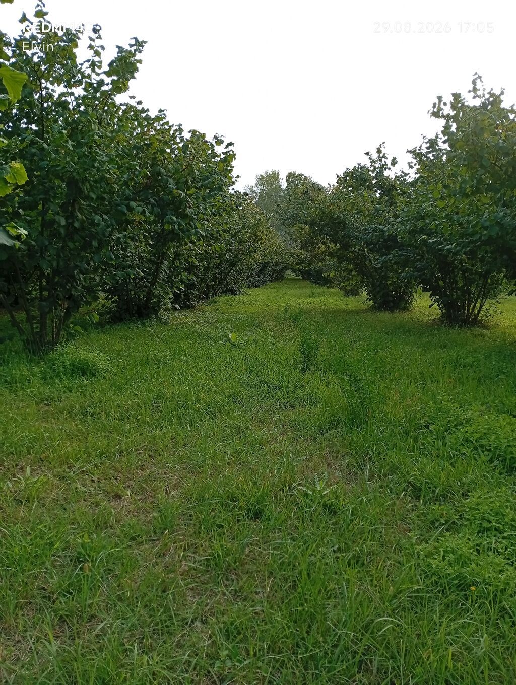 1 sot, Kənd təsərrüfatı — Torpaq, Xaçmaz (3)