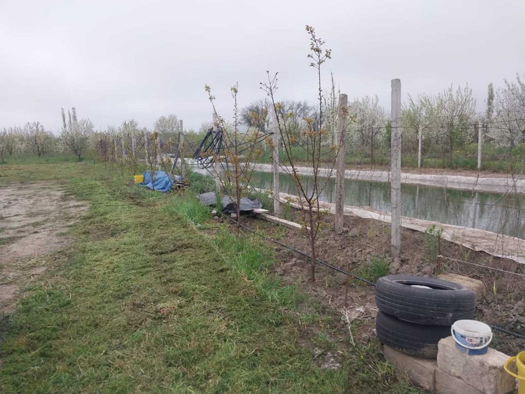 220 sot torpaq sahəsi, Ağyazı kəndi — Torpaq, Xaçmaz (12)
