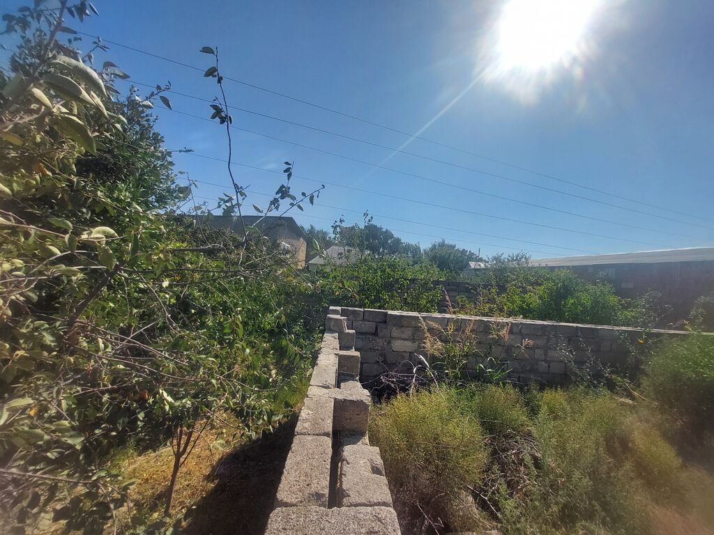 Tikinti — Torpaq, Sumqayıt (2)