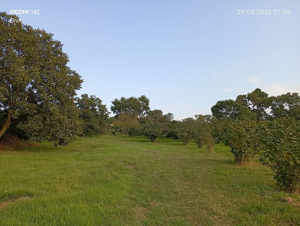 1 sot, Kənd təsərrüfatı — Torpaq, Xaçmaz (2)