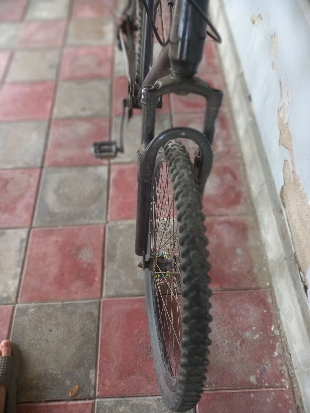 Velosiped – dağ/şosse üçün universal Texniki xüsusiyyətlər — Velosipedlər, Masallı (7)
