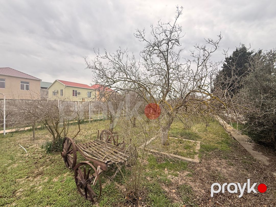 Satılır torpaq 11 sot — Torpaq, Bakı (4)
