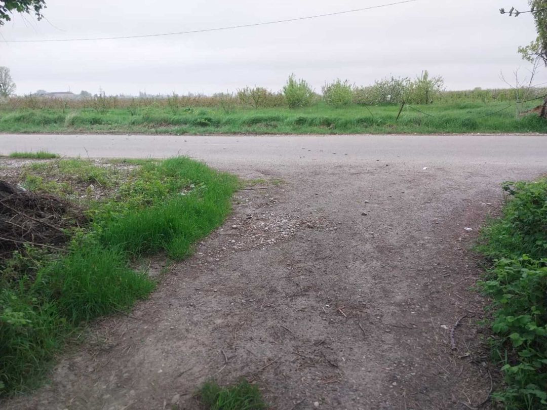 220 sot torpaq sahəsi, Ağyazı kəndi — Torpaq, Xaçmaz (9)