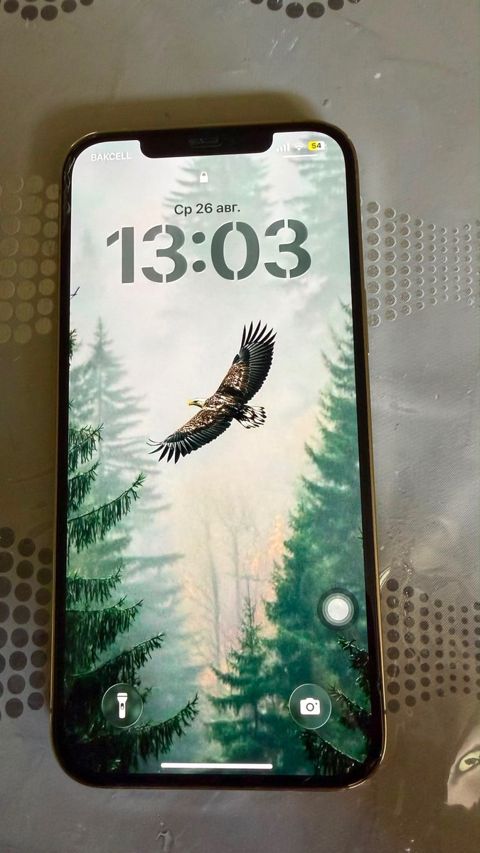 Apple iPhone 12 Pro Max Gold 256GB/6GB — Bakı