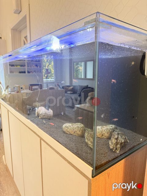 Akvarium — Bakı