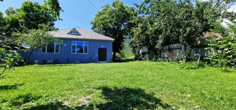Həyət evi kirayə verilir, Qəbələ r — Qəbələ