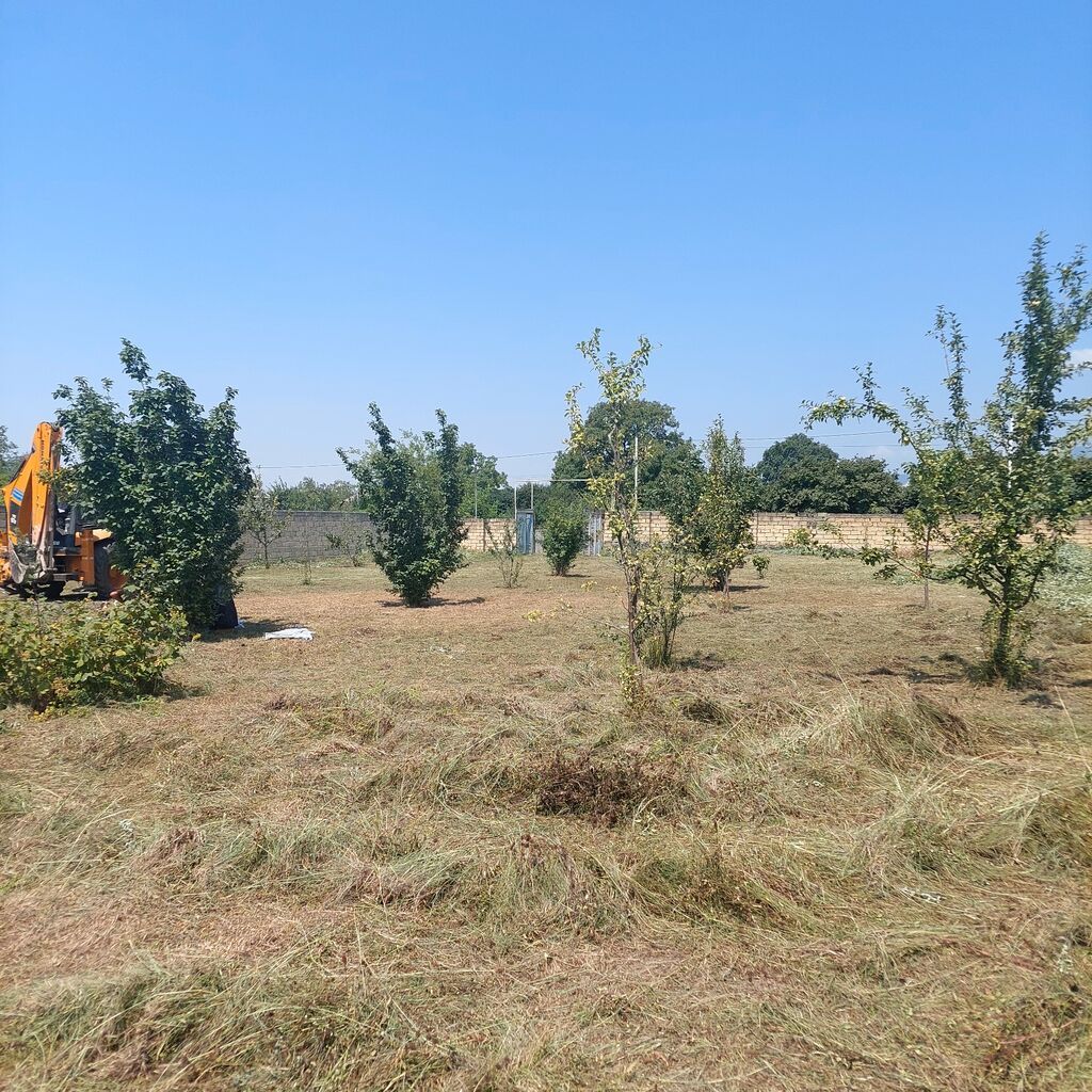 Oğuz rayonunun Şirvanlı kəndində rayon mərkəzindən 10 km,Xalxal — Torpaq, Bakı (5)