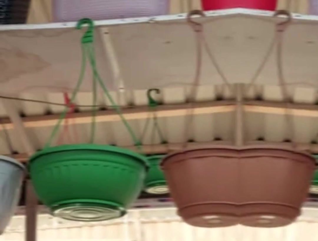 Plastik asılqanlı dibçəklər — Bitkilər, Bakı (5)