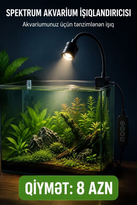 Akvarium işığı — Bakı