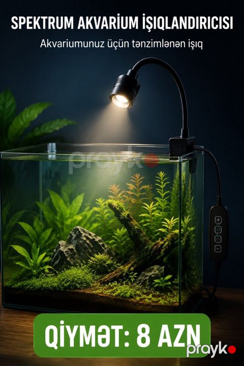 Akvarium işığı — Bakı
