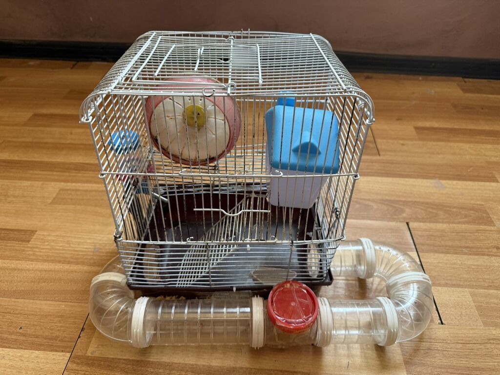 Hamster üçün tam dəst 2 mərtəbə qəfəs - Metall karkaslı, çıxarılan — Qəfəslər, Bakı