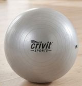 Crivit Sports fitnes/topu (gym ball), gümüşü rəng. 120 kq çəki — Игры с мячом