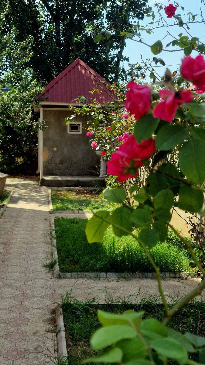Həyət evi kirayə verilir, Qusar r — Ev, villa, Qusar (10)