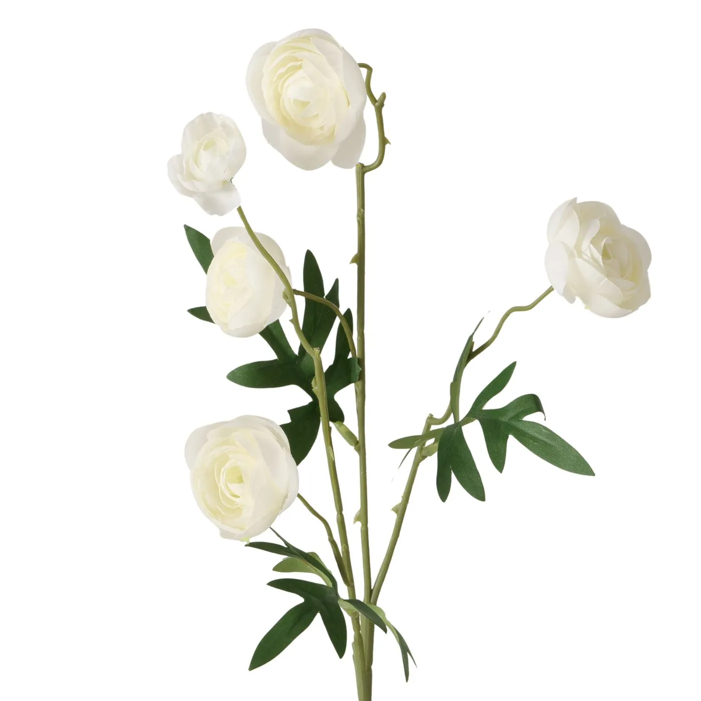 Dekorativ gül Boltze Buttercup 53 sm — Bakı