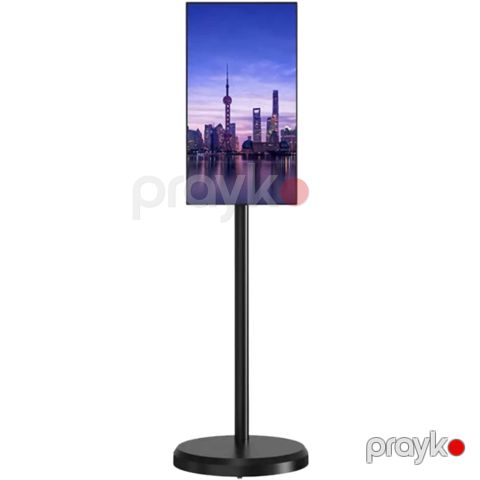 Mobil displey Lapp MobiTab S01-T — Bakı