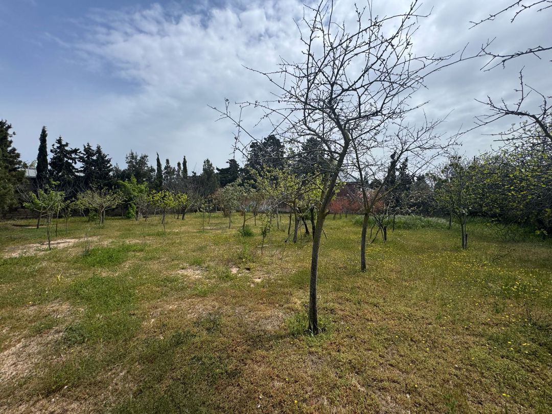 23 sot torpaq sahəsi, Mərdəkan qəs — Torpaq, Bakı (7)