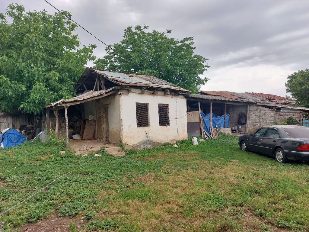 55 sot — Torpaq, İsmayıllı (3)