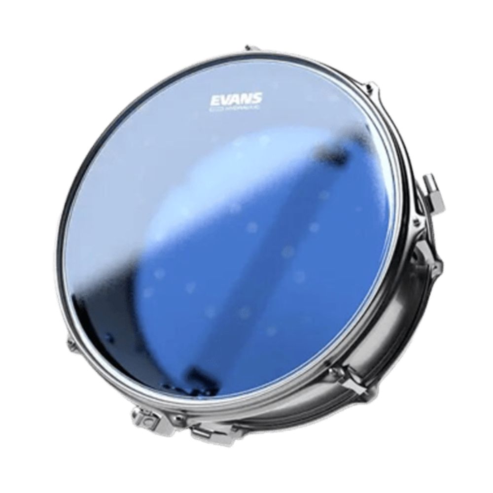 Evans TT10HB — Musiqiə alətləri, Bakı (2)