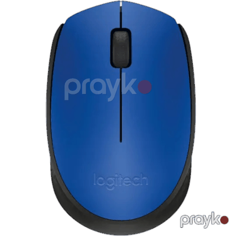 Logitech M171 Mouse Wireless Blue — Bakı