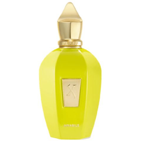 Uniseks parfüm Xerjoff Amabile EDP 100 ml 8054320900009 — Парфюмерия