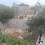 8 sot, Tikinti, Kupça (Çıxarış) — Karam İbrahimov