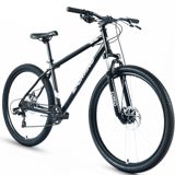 Forward Sporting SX 29 (Wheel 29/ Gear 8/ Size 19) Black/Silver — Dağ Velosipedləri