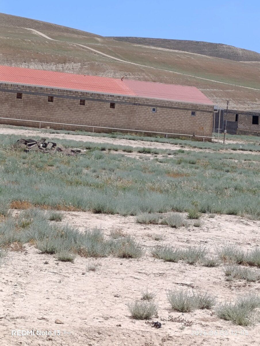 8 sot torpaq sahəsi, Qobu qəs — Torpaq, Bakı (2)