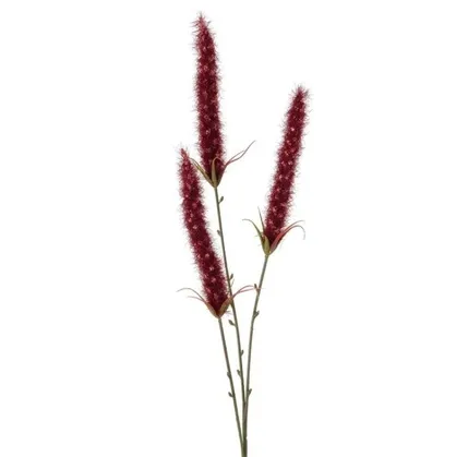 Dekor Boltze Schilf H 82 sm — Bakı