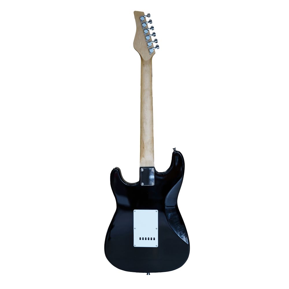 Floyd EGS112 Blueburst — Gitarlar və digər simli alətlər, Bakı (2)