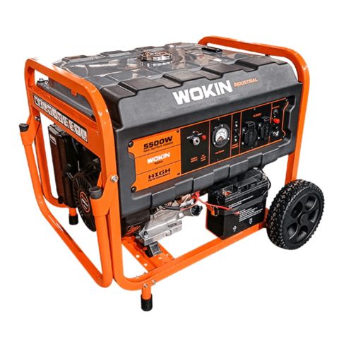 Generator Wokin W791255 — Bakı